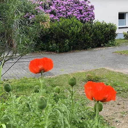 Apartmán Im Alten Theresia Eslohe