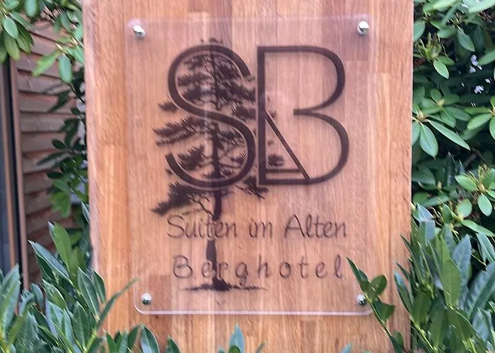 Im Alten Theresia 公寓 埃斯洛黑